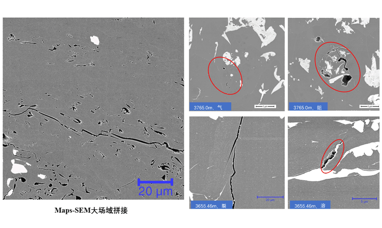 Maps-SEM大场域扫描技术